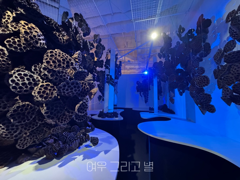 하울림