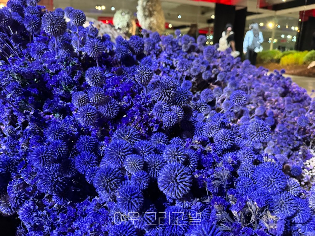 숲의 독백