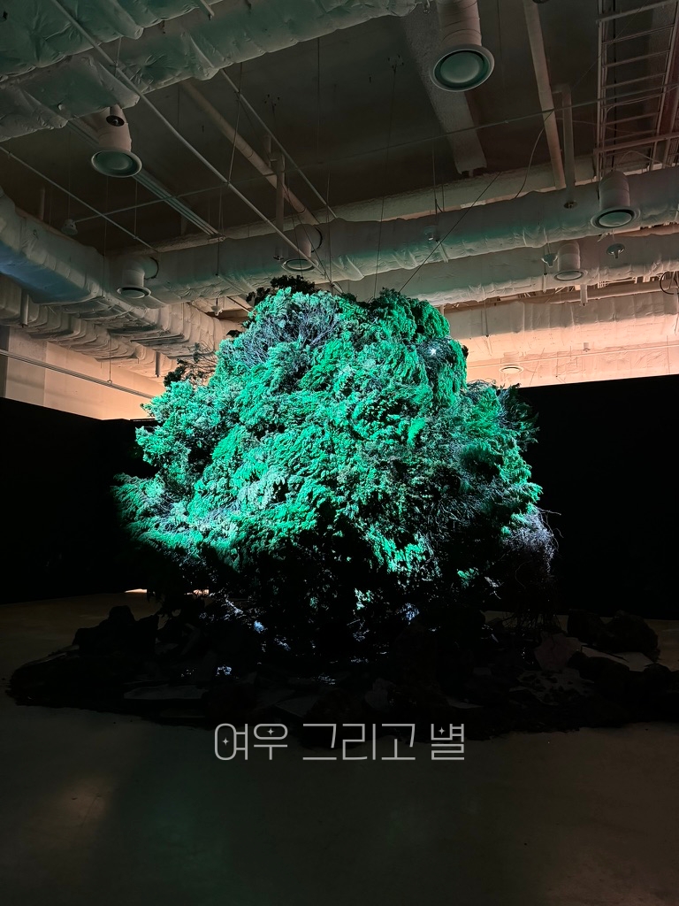 터전의 숲