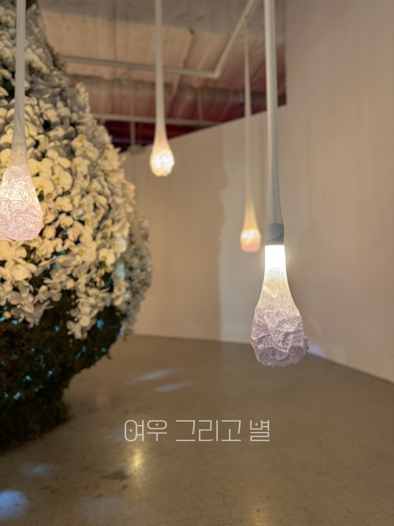 백색의 모습