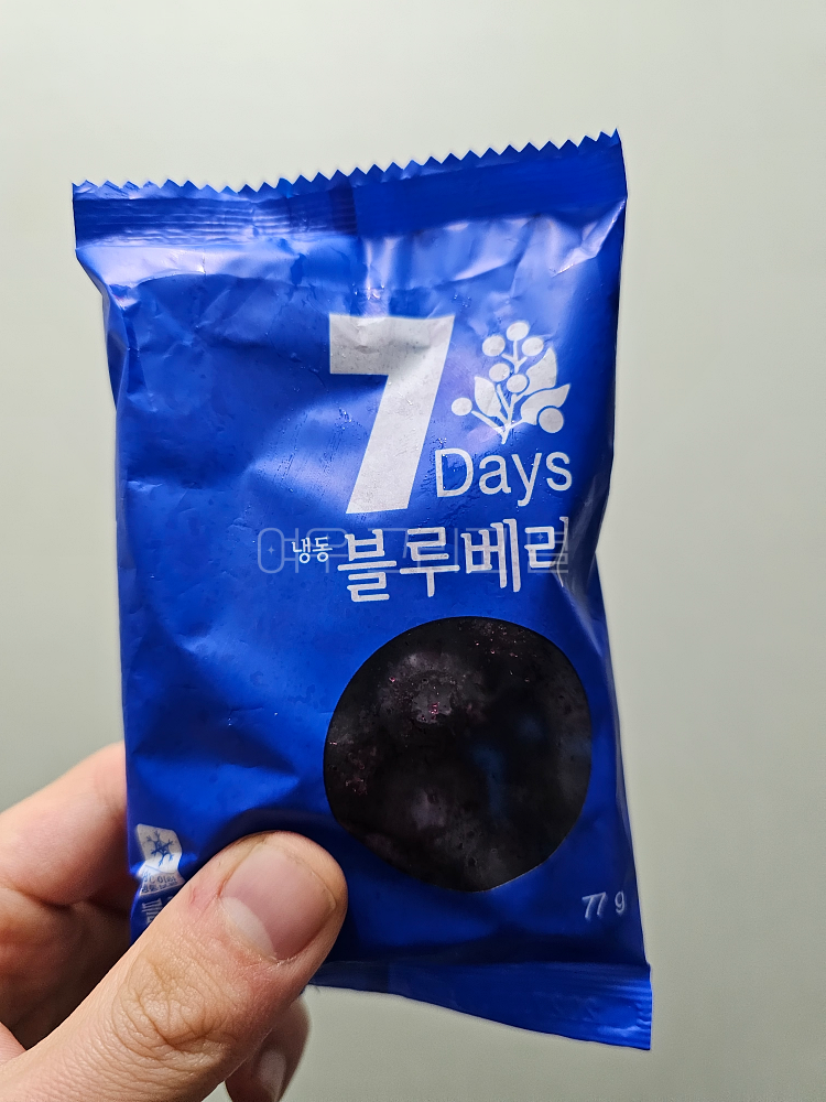 한달살이 멤버 A가 준 냉동 블루베리